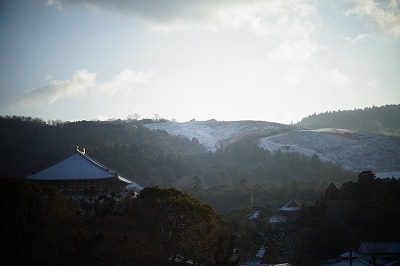 　　　☆　　　あらっ、ステキ…雪景色…　　　☆