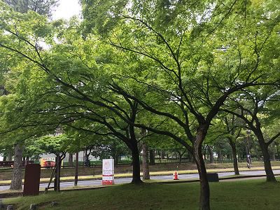 　　　☆　　　力まないぃ～リラックスして楽しんで行きましょ～　　☆