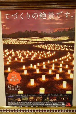 　　　☆　　　奈良の夏を感じてや　　　☆