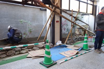 　　☆　　　明日は、寒いらしいです　そんな時は、わかさへ　　　☆
