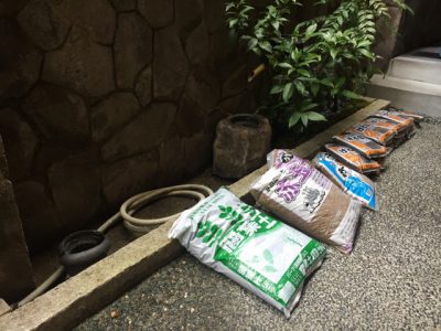 　　　　☆　　　　自家製ガーデン　　　　☆