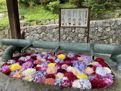 　　　　☆　　　　飛鳥　サイコー④　　　　☆