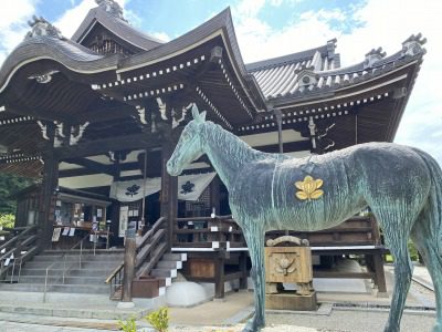 　　　　　☆　　　飛鳥　サイコー➄　　　　☆