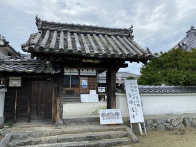 　　　　☆　　　飛鳥　サイコー⑥　　　　☆