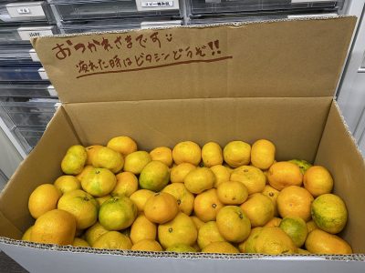 　　　　　☆　　　　サ・シ・イ・レ　　　　☆