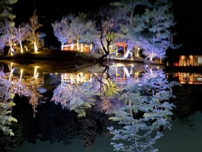　　　　☆　　　今年のルリエ　　　☆
