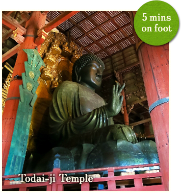 Todai-ji Temple 5mins on foot