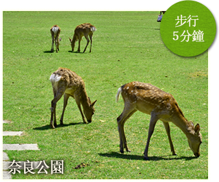 奈良公園步行5分鐘