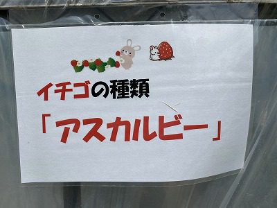 　　　　　☆　　　　奈良で体験　in のどか村　　　　☆